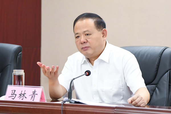 省政府食安辦主任、省市場監管局書記馬林青講話
